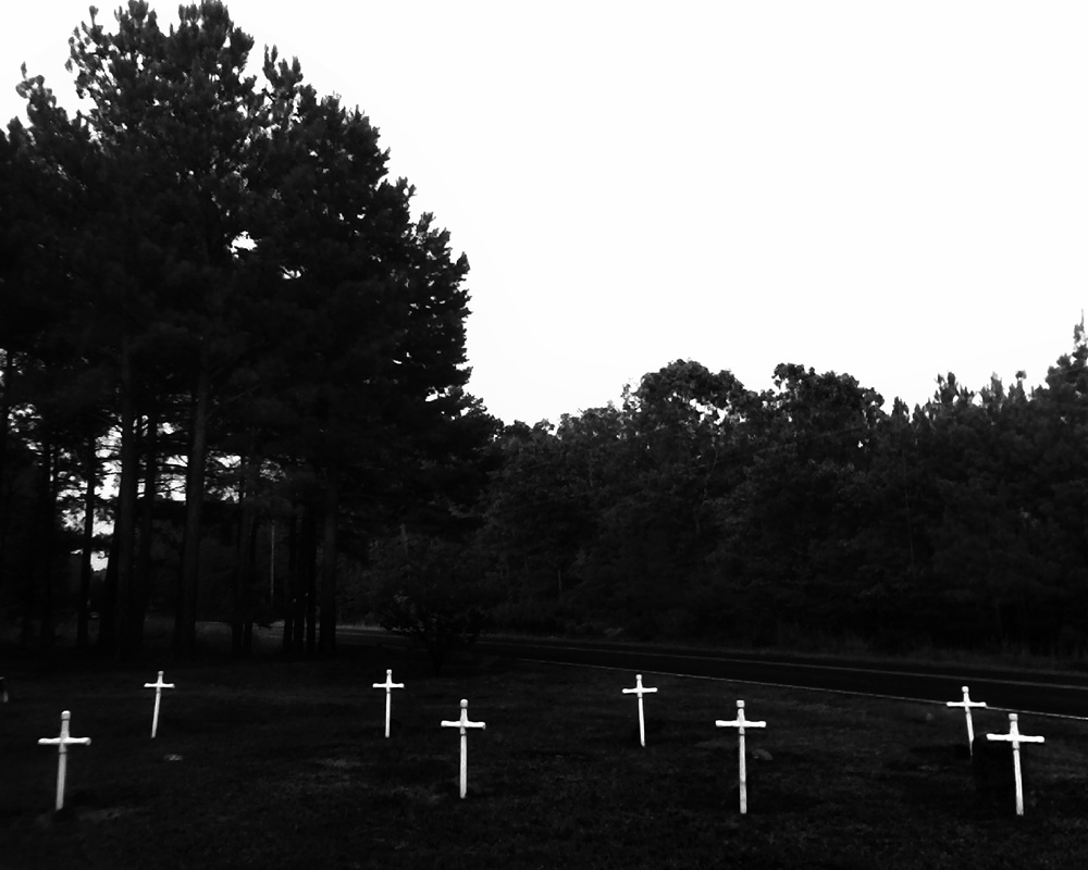 cellularobscura014